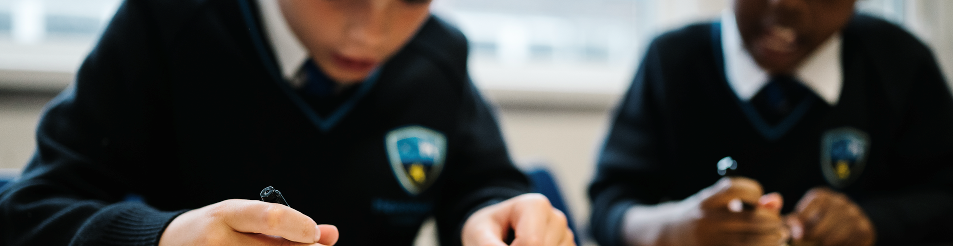 Meadowdale header
