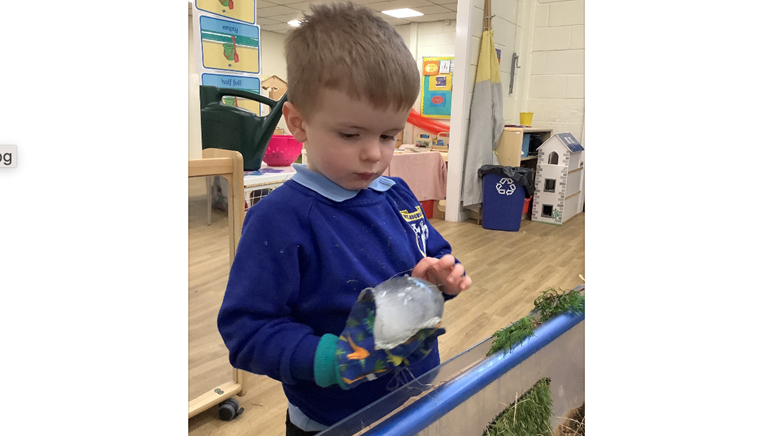 Dinosaur World topic