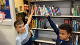 Skylarks in the library