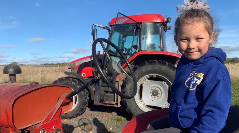 Fun at the farm