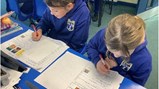 Y5 Merlins