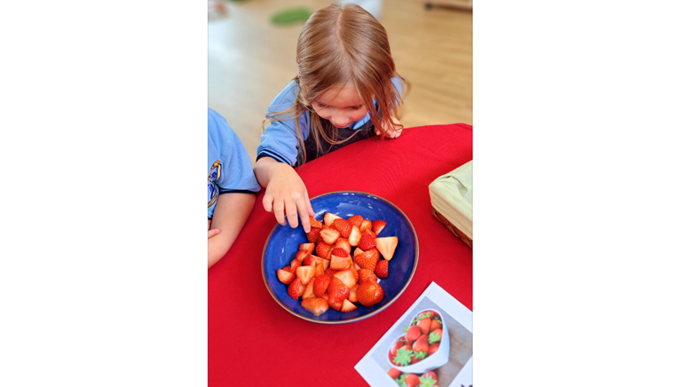 Reception Puffins