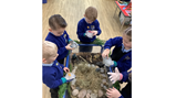 Dinosaur World topic